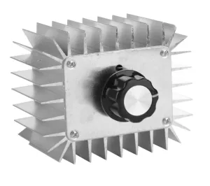 5000W AC 220V High-Power Electronic Voltage Regulator Module